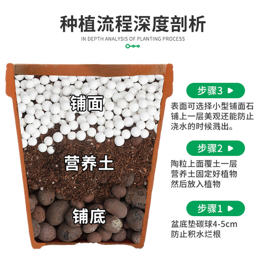 Tierra de diatomeas Devodore, fondo de maceta de 2,5 kg (3-5 mm) mezclado con relleno de tierra, matriz de cultivo hidropónico transpirable sin suelo que retiene agua