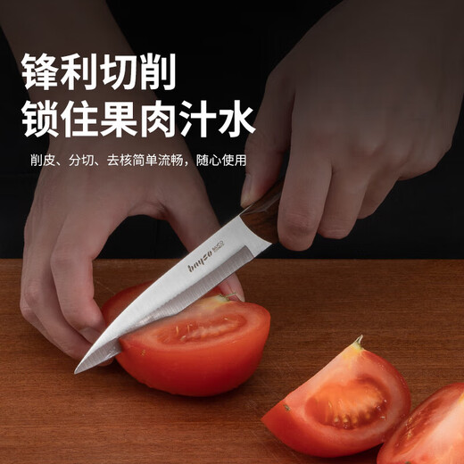 拜格（BAYCO）家用水果刀三件套不锈钢削皮刀西瓜刀哈密瓜切水果刀具套装BD3240