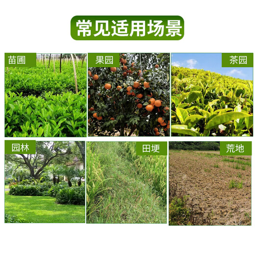 Yongnongcao carat 10.9% refined glufosinate ammonium salt herbicide weed orchard tea tree citrus orchard weed pesticide