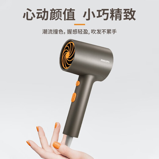 Philips Hair Dryer Household High Power Hair Dryer Negative Ion Hair Care Birthday Gift for Girlfriend or Boyfriend Couple Birthday Gift Official Flagship Store Gift Black Gold Tube BHD321/05