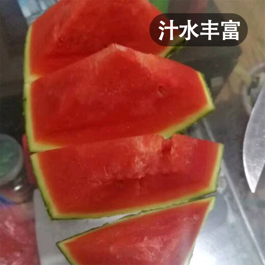 Fengming Yashi black seedless watermelon seeds thin skin large super sweet southern seedless black watermelon seeds 100 capsules