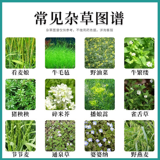 Fanbang 75% metsulfuron herbicide to remove shrubs and weeds, road and railway fire isolation zone, root rot herbicide, pesticide 12g/10 bags with auxiliaries