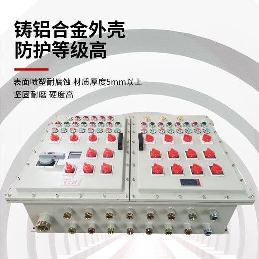 Jiunuo explosion-proof distribution box explosion-proof junction box control box inspection box lighting switch distribution cabinet non-standard customization 3 circuits