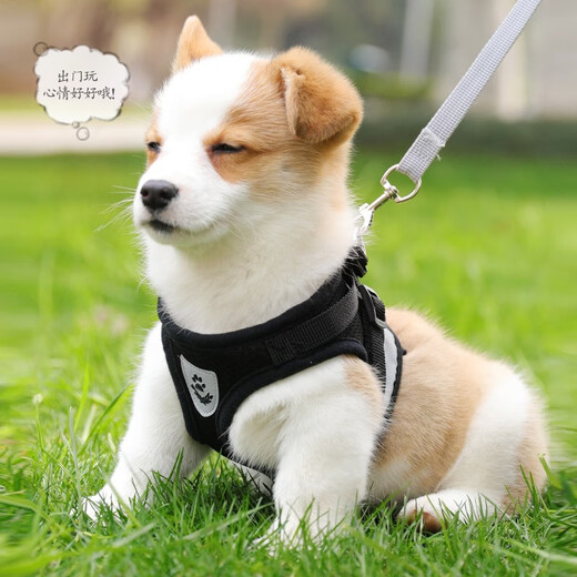 KimPets Dog Leash Reflective Vest Harness Dog Leash Small Dog Teddy Supplies Blue (With Leash) XL-Extra Large (Suitable for 15-20 Jin Jin equal to 0.5 kg pets)