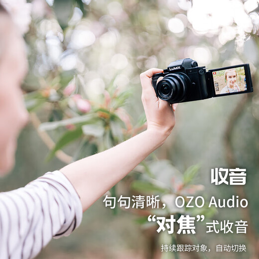 Panasonic G100DK (Panasonic) Mirrorless Camera Digital Camera vlog Camera Mirrorless Kit 12-32mm 4K Video Professional Radio Soft Skin Selfie