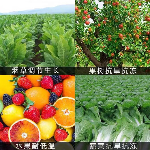 Guoguang Dynamics S-induced antibiotic tobacco citrus disease resistance, drought and cold resistance, salt tolerance, root and seedling growth regulator 200ml