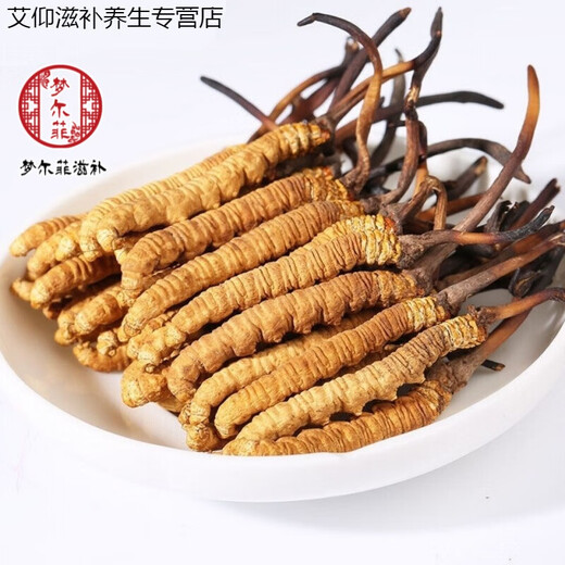 Ivanmai Authentic Cordyceps Cordyceps Cordyceps Cordyceps Nicht geschnittene Grasrohr-installierte super große Wurzel Geschenkbox