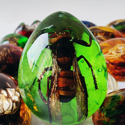 Huilu Insect Amber Pendant Natural Butterfly Specimen Insect Amber Necklace With Insect Animal Pendant Made Fashion Creative Single Side Polished Green Amber Crab With Lanyard