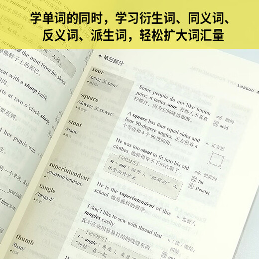 Breakthrough in Basic English Vocabulary (New Edition)