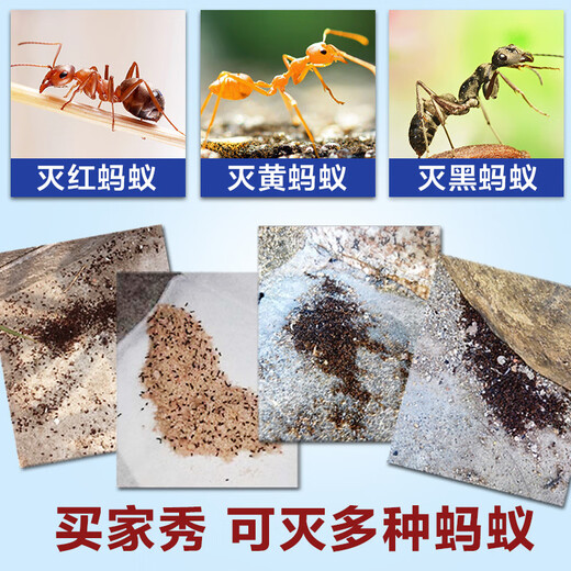 驰天杀除黄红黑蚂蚁药灭蚁清灭蚁药蚂蚁粉家用蚂蚁杀虫剂蚂蚁药白蚁药 3包装