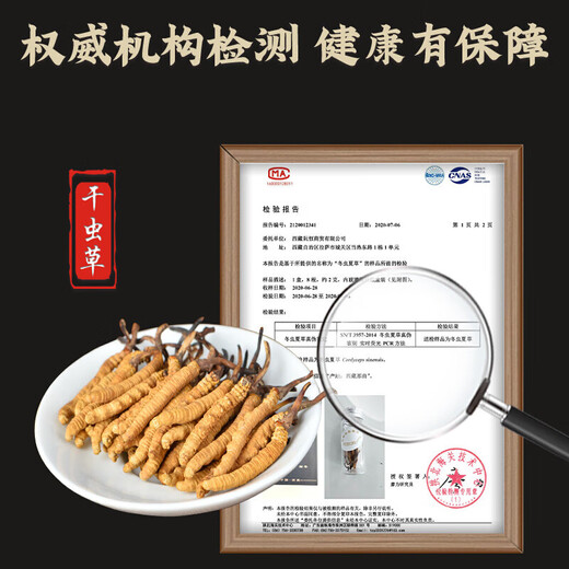 Cordycepss sinensis, 3 кусочки Cordyceps sinensis на грамм сухих товаров Cordyceps Подарки подарки 100 кусочков подарочной коробки