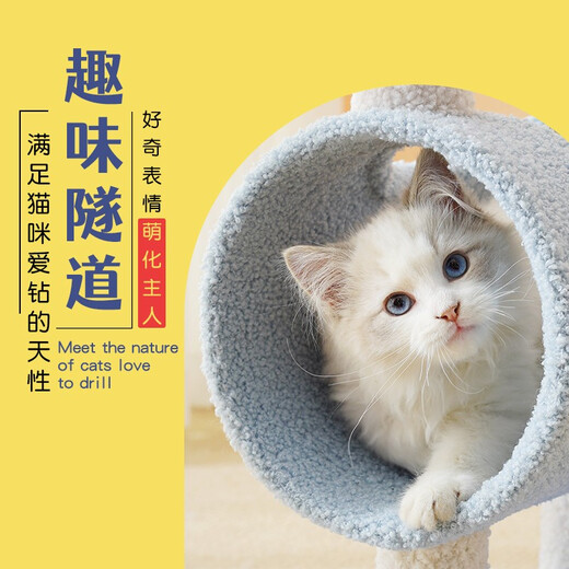 Fandu pet house cat climbing frame cat nest integrated cat jumping platform small yellow deer cat tunnel pet paradise cat toy
