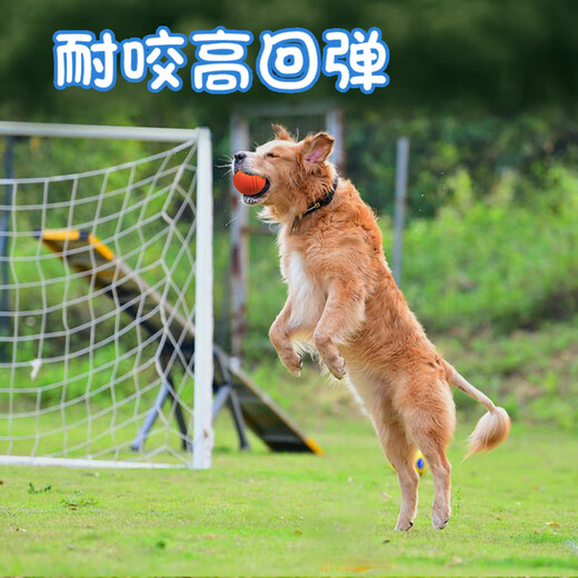 Pochido dog toy ball large size self-pleasure relief artifact pet border animal golden retriever bite-resistant ball training molar elastic ball