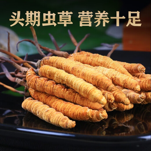 
Liwei Leopard Cordyceps sinensis 10g 4 pieces/g 40 pieces first-class quality freeze-dried Cordyceps father's day gift box high-end tonic