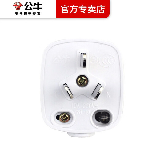 Bull plug 10A plug two-pole two-prong two-hole 220V socket head power plug 10A three-pin plug T-10