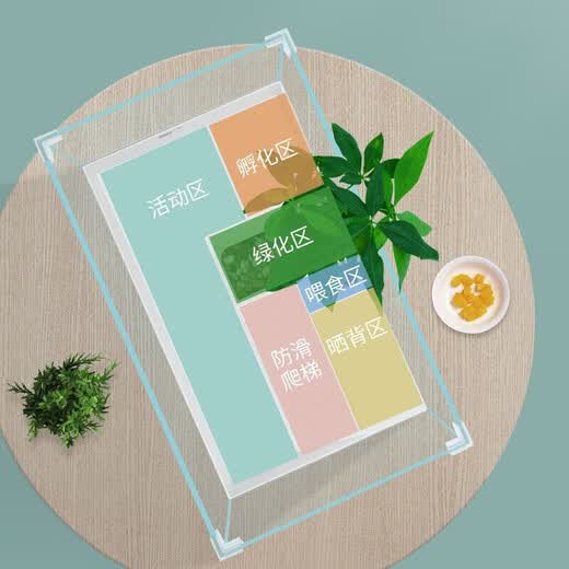 YEE brand split glass turtle tank 51cm large with bottom sand aquatic plants for landscaping household Brazilian tortoise special tank for turtle breeding villa breeding box