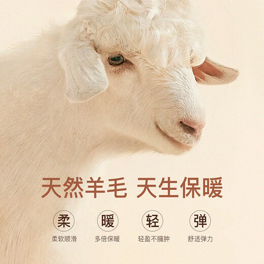 Shanshan 100% sheep wool cardigan men's autumn and winter business casual round neck skin-friendly thickened warm sweater base layer