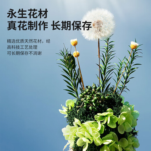 RoseBox dandelion eternal flower birthday gift anniversary gift for female friends, senior besties, niche senior wedding anniversary