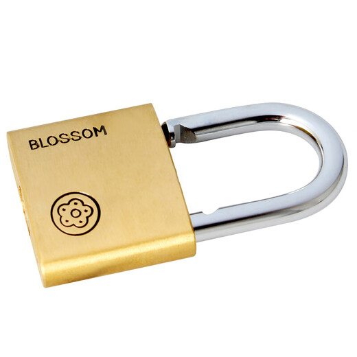 Plum blossom (BLOSSOM) copper padlock, waterproof and rust-proof office dormitory copper lock, outdoor warehouse door and carriage door lock BC9050