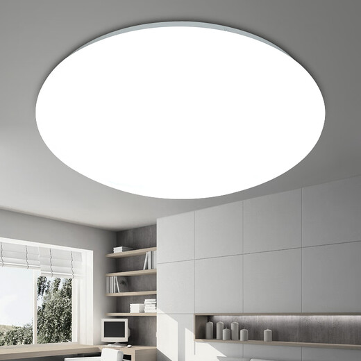 Micro ceiling light LED super bright home living room bedroom kitchen lighting round staircase balcony simple 24W 33CM white light promotion