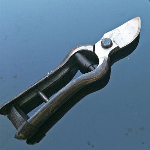 Customized old-fashioned Wangershan fruit tree scissors, pruning shears, gardening scissors, labor-saving scissors, thick branch shears, pruning shears, pruning shears