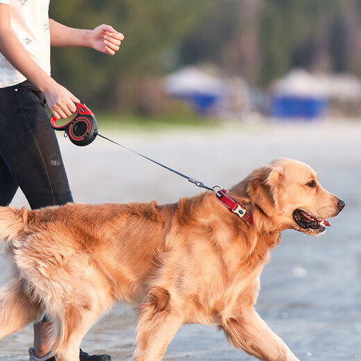 DOGNESS dog leash dog leash small and medium-sized dogs automatic retractable explosion-proof dog leash Teddy Border Collie 5 meters