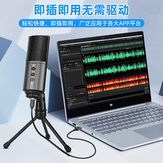 Burren Bell BL520X-USB condenser microphone audiobook professional recording equipment novel Himalaya mobile phone microphone recitation dubbing broadcast set anchor live broadcast noise reduction model with desktop stand + monitoring headphones + acoustic sound insulation cotton