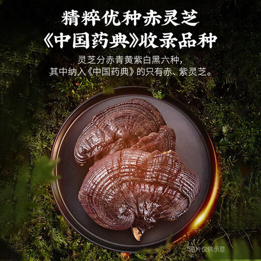Lei yun shang ganoderma lucidum polvo polvo rojo ganoderma lucidum triterpene mejora la inmunidad y restaura suplementos nutricionales [compre 2 obtenga 1 gratis] Ganoderma Lucidum Spore Powder 15g*3 caja