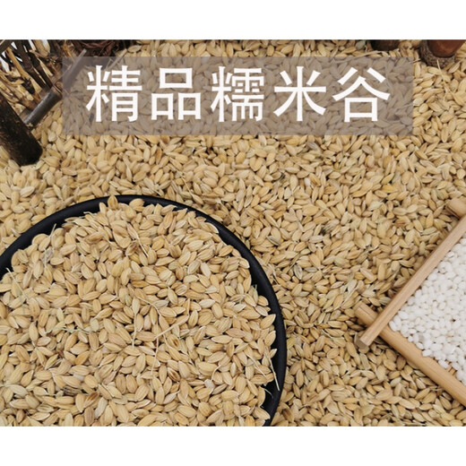 Tea bran, glutinous rice, glutinous rice with shell, glutinous rice with shell, glutinous rice with shell, 500g non-standard customization Jin Jin is equal to 0.5 kg non-standard customization