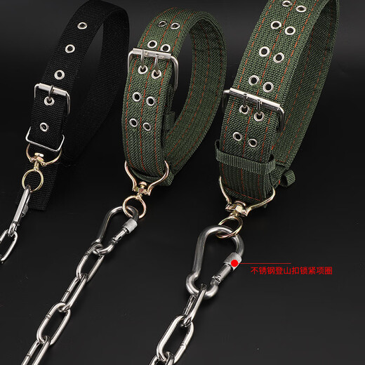 Stainless steel dog chain, large dog, medium dog, medium dog, small dog, iron chain collar, traction rope, anti-bite dog leash, dog chain, 3mm wire thickness (20-40Jin Jin is equal to 0.5kg) 2 meters