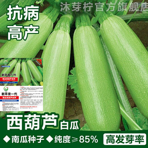 Zucchini seeds, high-yielding vegetable seeds, easy to grow in all seasons, family balcony potted vegetable seeds, cold-resistant and disease-resistant, heat-resistant and high-yielding zucchini seeds, 23 seeds or so, germination rate 95.4323%