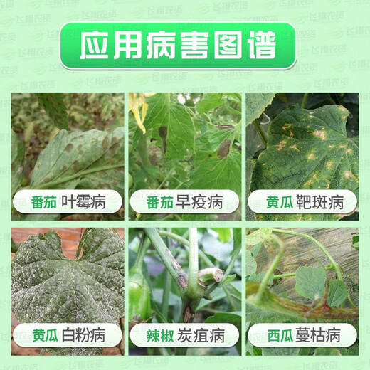 Bayer Allemagne Lunasen Concombre Target Spot Disease Maladie de la tavelure du raisin Fraise Rose Oïdium Pesticide Fongicide 10 ml