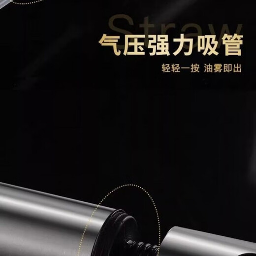 ZWILLING German spray bottle 304 stainless steel atomized oil bottle air fryer spray artifact household brand new stainless steel spray bottle single piece 200ml