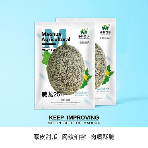 Zhongke Maohua Melon Fruit Seeds Weilong No. 25 Thick-skinned Melon Seeds Netted Hami Melon Seeds Cantaloupe Can Hang and Climb Weilong 25 Hami Melon Seeds - 20 capsules
