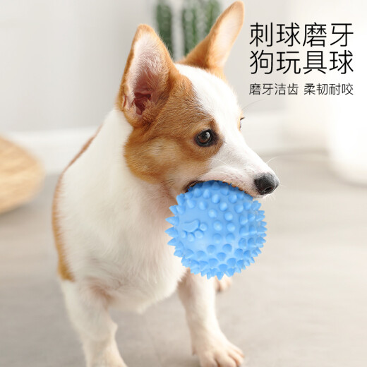 Hanhan Paradise pet dog toy ball bite-resistant teeth cleaning puppy small and medium-sized dog training dog training dog amusing artifact Teddy Bichon Corgi Shiba Inu elastic rubber ball supplies prick ball