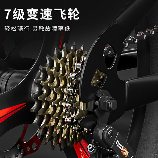 Phoenix Children's Mountain Bike 5-16 Years Old Girls and Boys Shock Absorbing Variable Speed 22 Inch Gray Suitable for Height 135-160cm