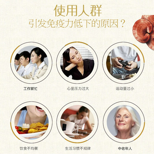 Correct broken Ganoderma lucidum spore powder for middle-aged and elderly men and women to improve immunity. Linzhi spore powder postoperative nutritional supplement 4 boxes [240 bags] original