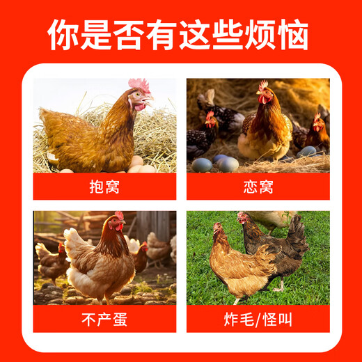 Lianyang Craftsman hen nesting wake-up quick-acting wake-up spirit prevents hens from hatching and nesting nest spirit Muscovy duck nest wake-up feed additives wake-up spirit 100 tablets/bottle