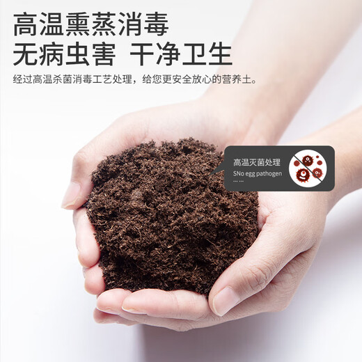 Stanley's acid-loving plant camellia azalea gardenia jasmine special nutrient soil potted acid peat soil 10L