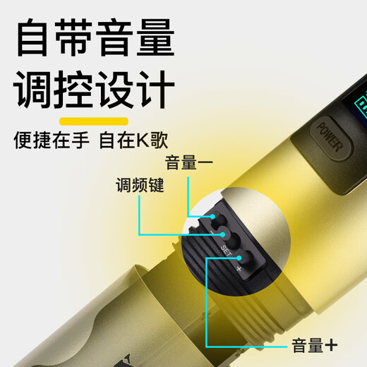 Ringing Wireless Microphone Handheld Microphone Outdoor Performance Singing Audio Amplifier Universal Anti-Howling U-section Hosting Conference Training Speech Trolley Speaker One-to-Two Wireless Microphone Rose Red