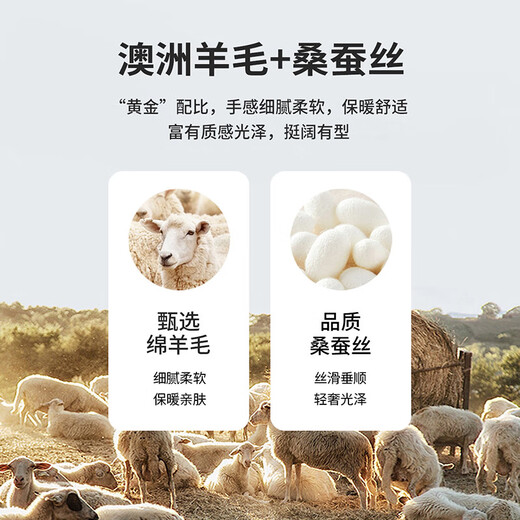 Antonio Mulberry Silk + Sheep Wool Stand Collar Casual Chinese Style Jacquard Autumn and Winter New Men's Woolen Coat Jacket