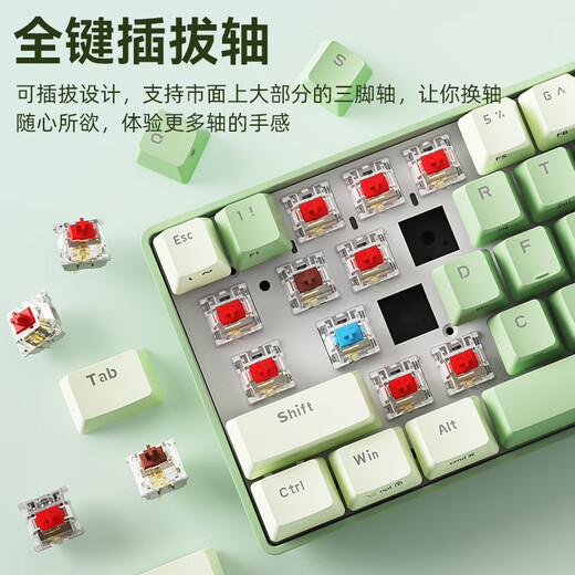 B.O.W Hangshi G62D hot-swappable dual-mode mechanical keyboard full-key rollover wireless Bluetooth office gaming customized keyboard and mouse set dual-mode mechanical keyboard (fresh green) red axis