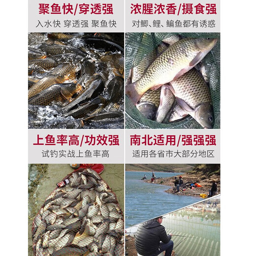 Penetration King concentrated red worm liquid fishing medicine earthworm wild fishing grass green crucian carp bait additive fishy black pit fish attractant red worm liquid (100ml single bottle low temperature opening)