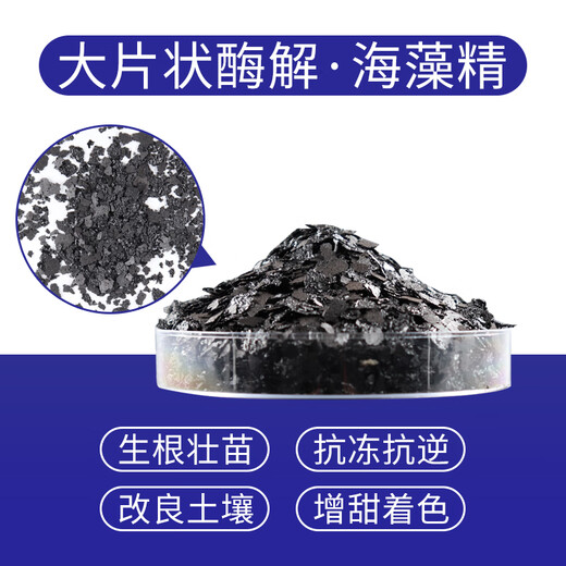 Schmet large enzymatic seaweed essence organic water-soluble fertilizer seaweed rooting agent fertilization agricultural use 500g seaweed essence 500g * 3 generations