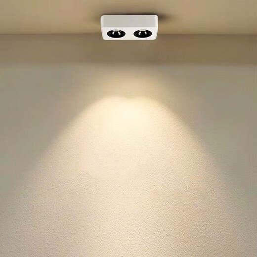 Renjuyi Informant personnalisé ultra-mince ultra-mince Maison de maison Room à quatre têtes Spotlight de la lampe principale anti-glis