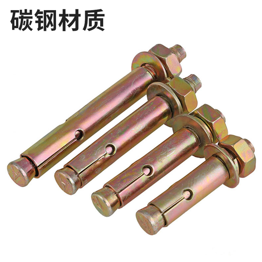 Bairuite (bairuite) 304 stainless steel expansion screw pull explosion screw 316 lengthened expansion bolt lifting explosion expansion pipe screw M8*100 5 capsules 304