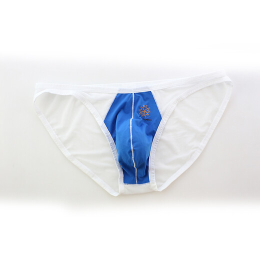 Fearless Captain Trendy Men's Low Waist Sexy Elastic Tight Breathable Transparent Mesh Silky U Protruding Bag Small Briefs Blue XL