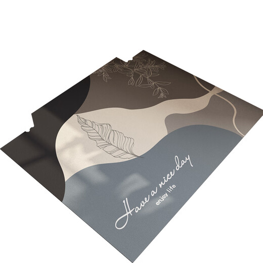 Boli ultra-thin entrance door mats, floor mats, non-stuck door, stain-resistant, non-slip floor mats, entrance door, thin carpets that can be cut with a single touch of glow, 120*240cm (no door jams)