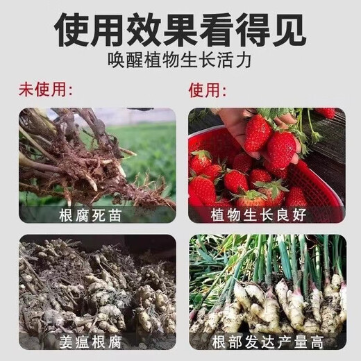 Bud power fierce rooting stock solution powerful rooting and seedling strengthening agent for transplanting cuttings, fruit trees and flowers special root-promoting root strengthening fertilizer fierce rooting stock solution 500g*1 bottle