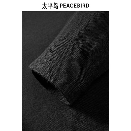 PEACEBIRD мужской свитер, новый зимний свитер из овечьей шерсти, полуводолазка B1EBE4B12, черный, 1 м